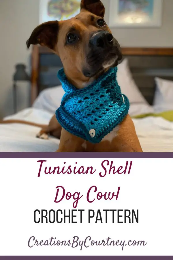 The Tunisian Lace Cowl is a free crochet pattern. You can use your favorite worsted weight yarn to make your favorite dog a stylish and warm cowl for fall and winter walks.