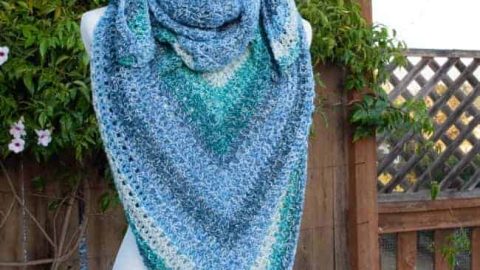 Image for Watercolor Shawl
