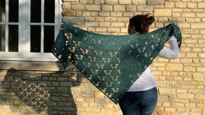 Image for Under the tree crochet shawl