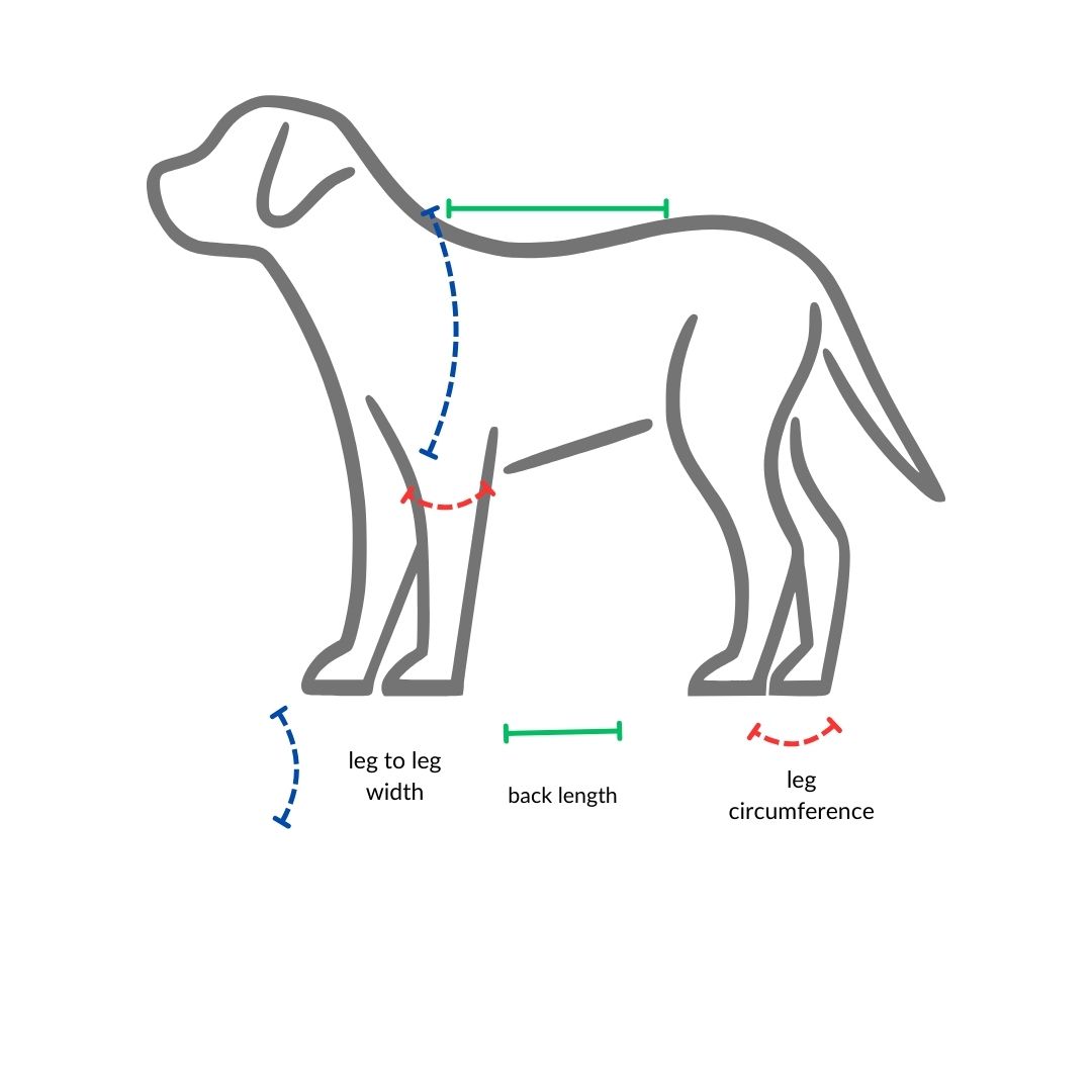 An outline drawing of the side view of a dog facing the left. There are colored straight and curved lines indicating where to measure to make a crochet dog sweater.